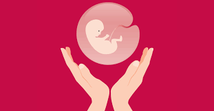 Placenta-Derived Stem Cells: A New Treatment Option for Regenerative Medicine post thumbnail image